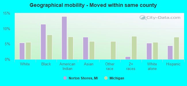 Geographical mobility -  Moved within same county