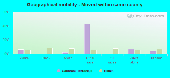 Geographical mobility -  Moved within same county