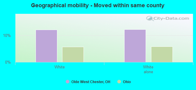 Geographical mobility -  Moved within same county