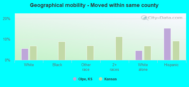 Geographical mobility -  Moved within same county