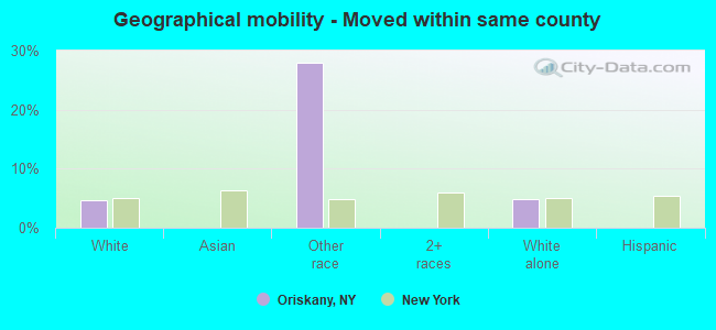 Geographical mobility -  Moved within same county