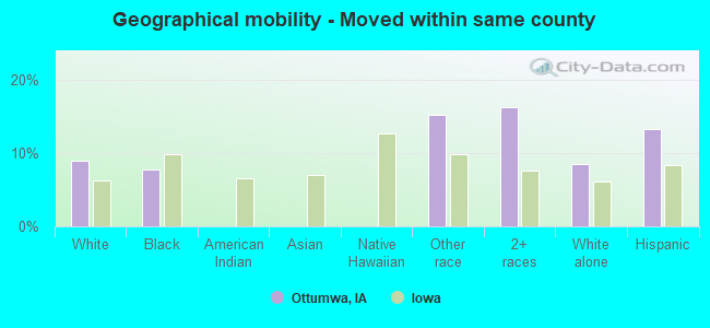 Geographical mobility -  Moved within same county