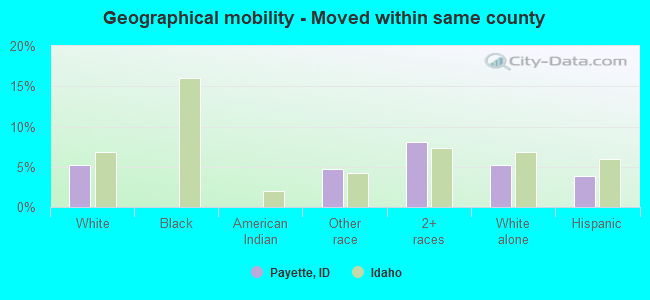 Geographical mobility -  Moved within same county