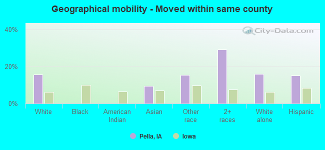 Geographical mobility -  Moved within same county