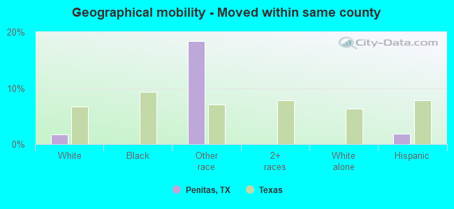 Geographical mobility -  Moved within same county