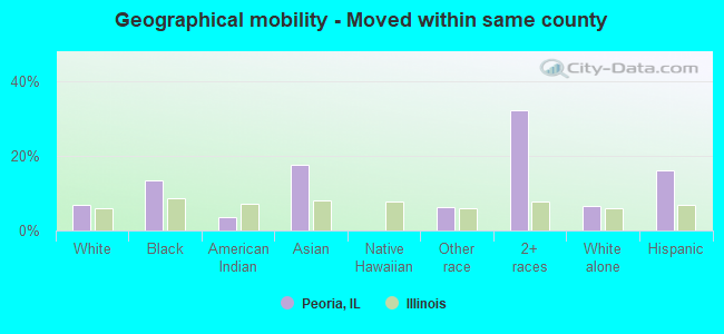 Geographical mobility -  Moved within same county