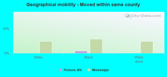 Geographical mobility -  Moved within same county