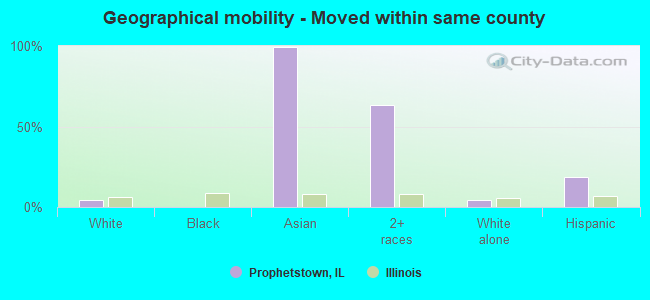 Geographical mobility -  Moved within same county