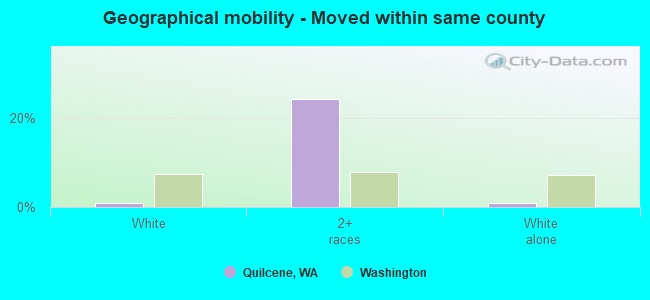 Geographical mobility -  Moved within same county