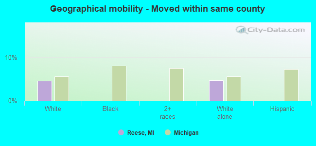 Geographical mobility -  Moved within same county