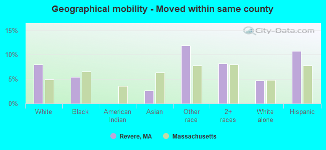 Geographical mobility -  Moved within same county