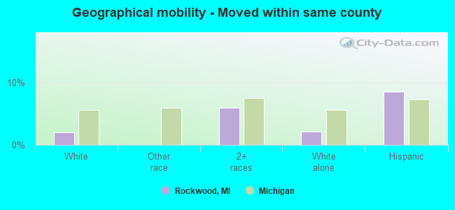 Geographical mobility -  Moved within same county