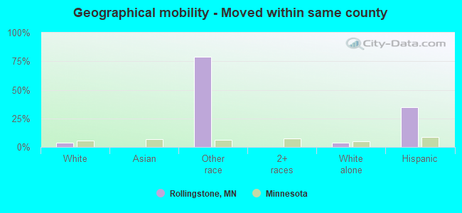 Geographical mobility -  Moved within same county