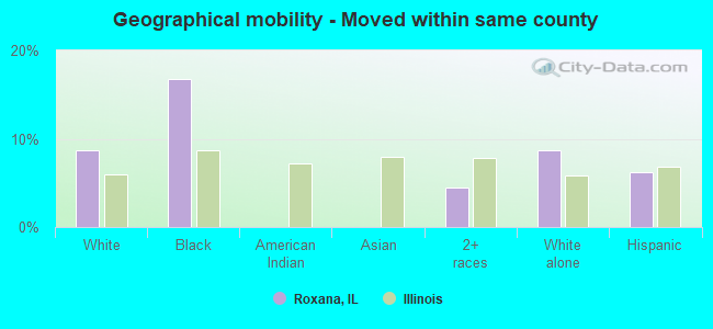 Geographical mobility -  Moved within same county