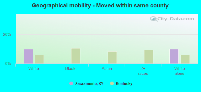 Geographical mobility -  Moved within same county