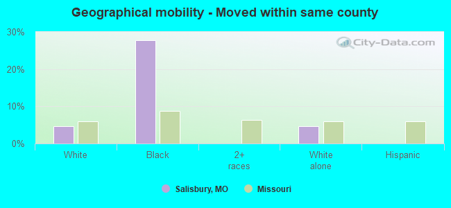 Geographical mobility -  Moved within same county