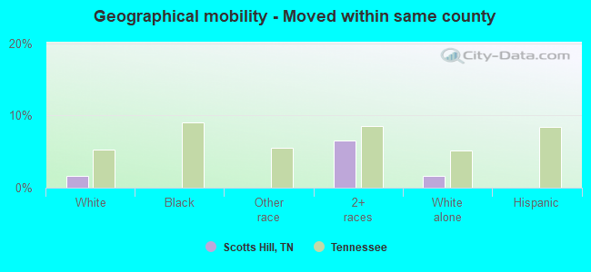 Geographical mobility -  Moved within same county