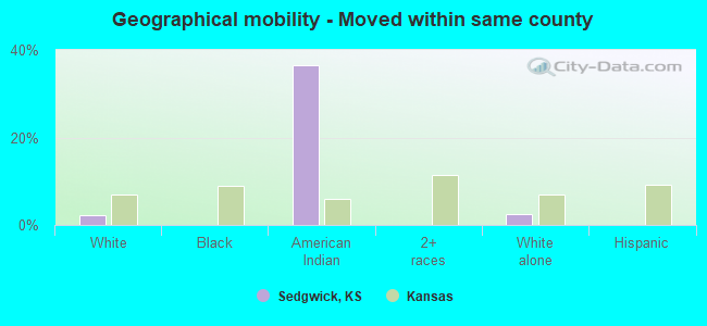 Geographical mobility -  Moved within same county