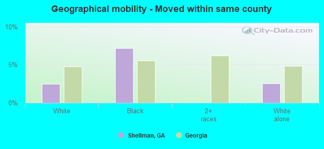 Geographical mobility -  Moved within same county