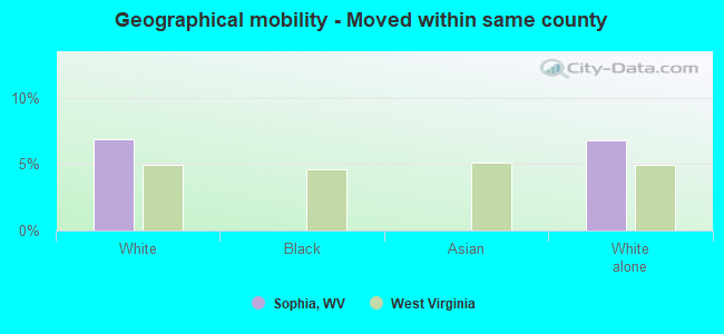 Geographical mobility -  Moved within same county