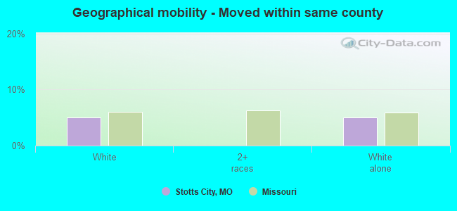 Geographical mobility -  Moved within same county