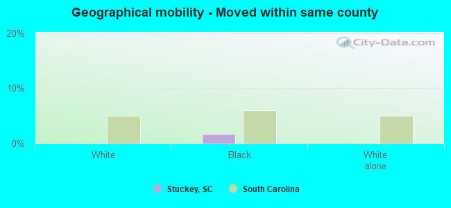 Geographical mobility -  Moved within same county