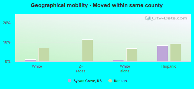 Geographical mobility -  Moved within same county