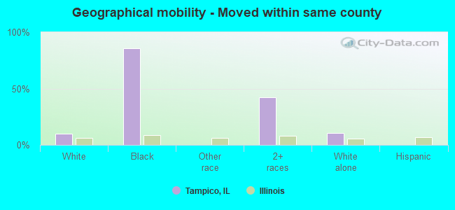 Geographical mobility -  Moved within same county