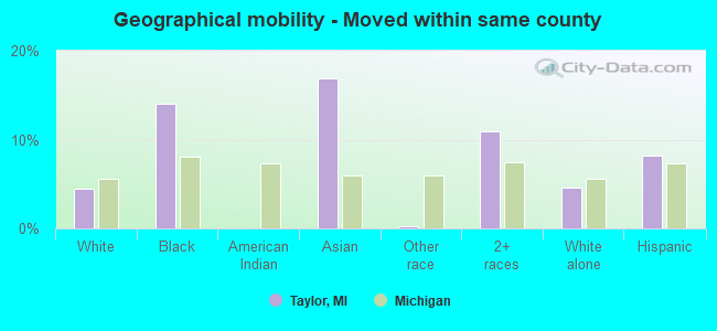 Geographical mobility -  Moved within same county