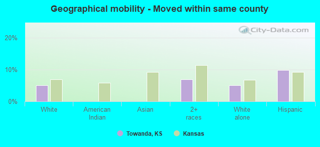 Geographical mobility -  Moved within same county