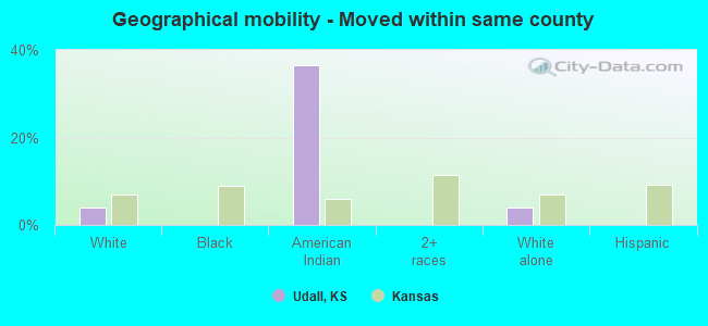 Geographical mobility -  Moved within same county