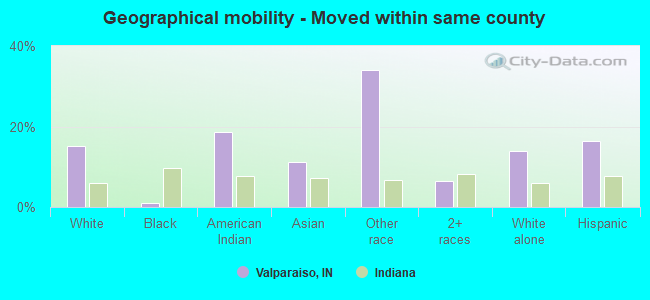 Geographical mobility -  Moved within same county