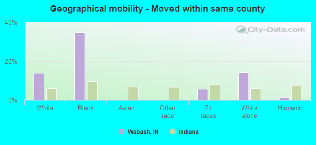 Geographical mobility -  Moved within same county