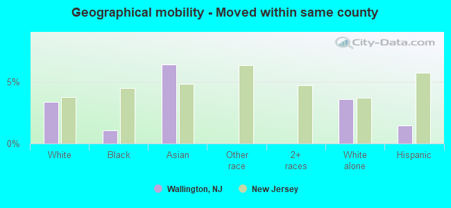 Geographical mobility -  Moved within same county