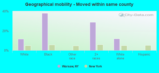 Geographical mobility -  Moved within same county