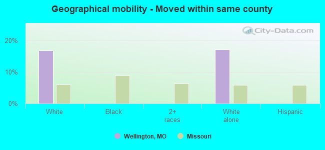 Geographical mobility -  Moved within same county