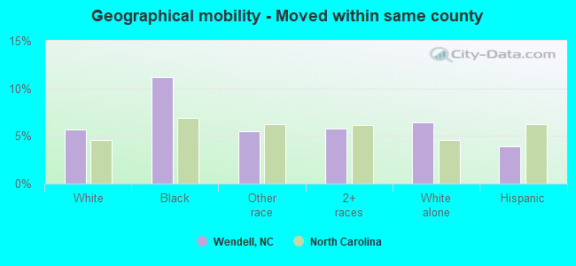 Geographical mobility -  Moved within same county