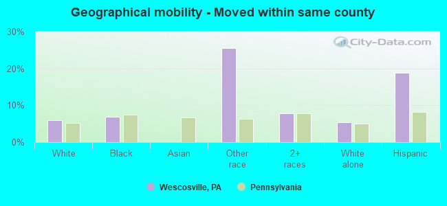 Geographical mobility -  Moved within same county