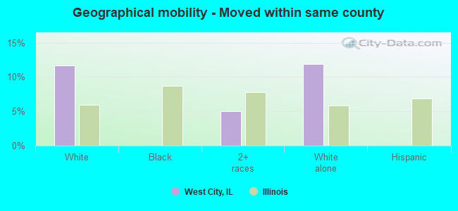 Geographical mobility -  Moved within same county