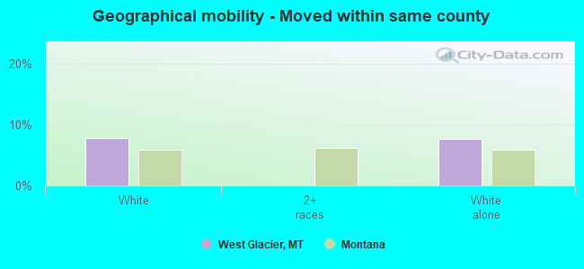 Geographical mobility -  Moved within same county