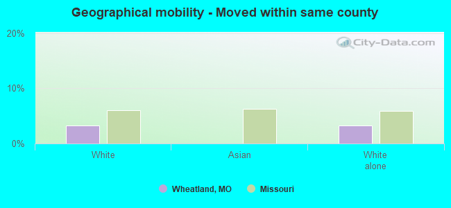 Geographical mobility -  Moved within same county