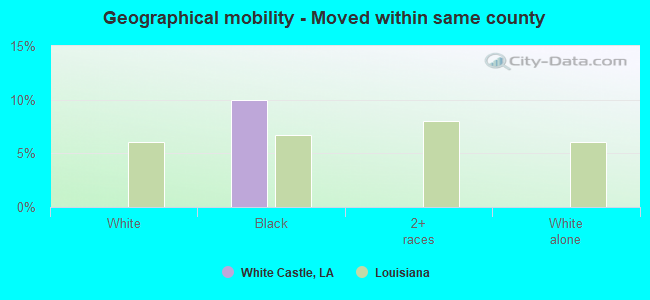 Geographical mobility -  Moved within same county