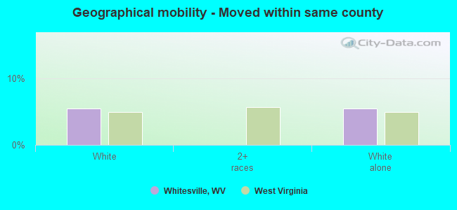 Geographical mobility -  Moved within same county