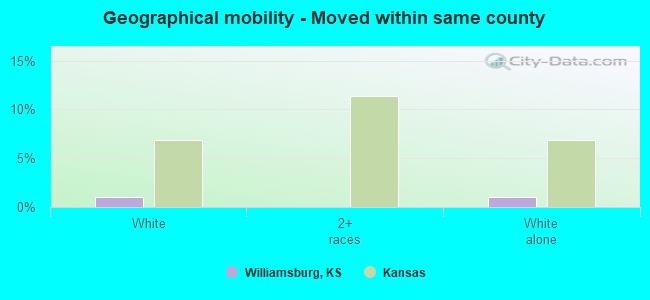 Geographical mobility -  Moved within same county