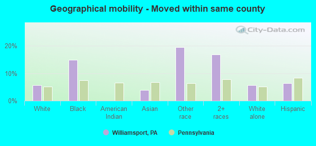 Geographical mobility -  Moved within same county