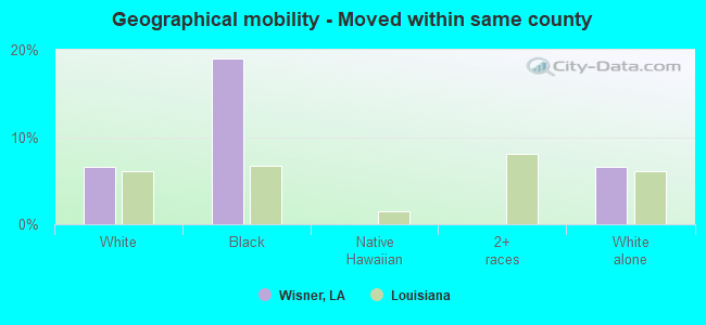 Geographical mobility -  Moved within same county