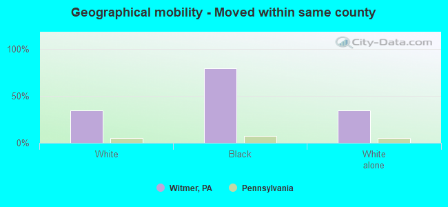 Geographical mobility -  Moved within same county