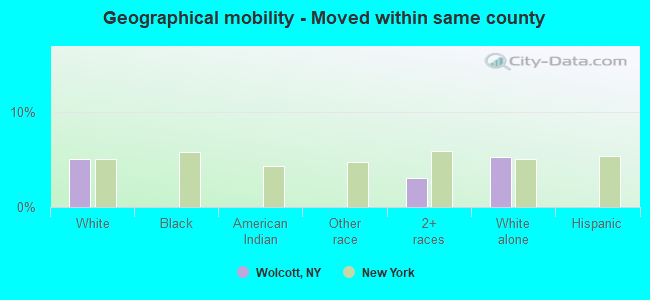 Geographical mobility -  Moved within same county