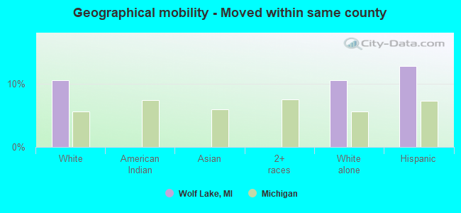 Geographical mobility -  Moved within same county