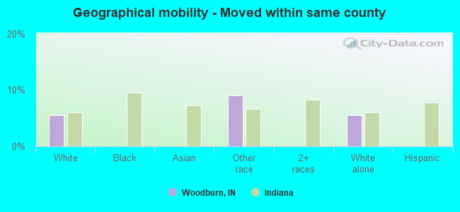 Geographical mobility -  Moved within same county